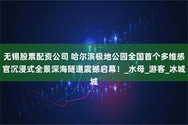 无锡股票配资公司 哈尔滨极地公园全国首个多维感官沉浸式全景深海隧道震撼启幕！_水母_游客_冰城